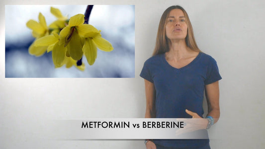 Metformina vs Berberina: Impacto en hombres y mujeres para una salud metabólica óptima y como anti envejecimiento
