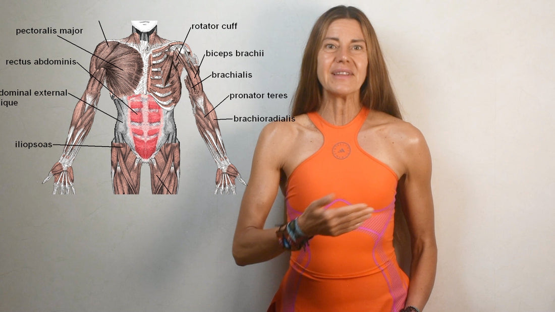 Los motivos irrefutables para iniciar YA su entrenamiento de fuerza