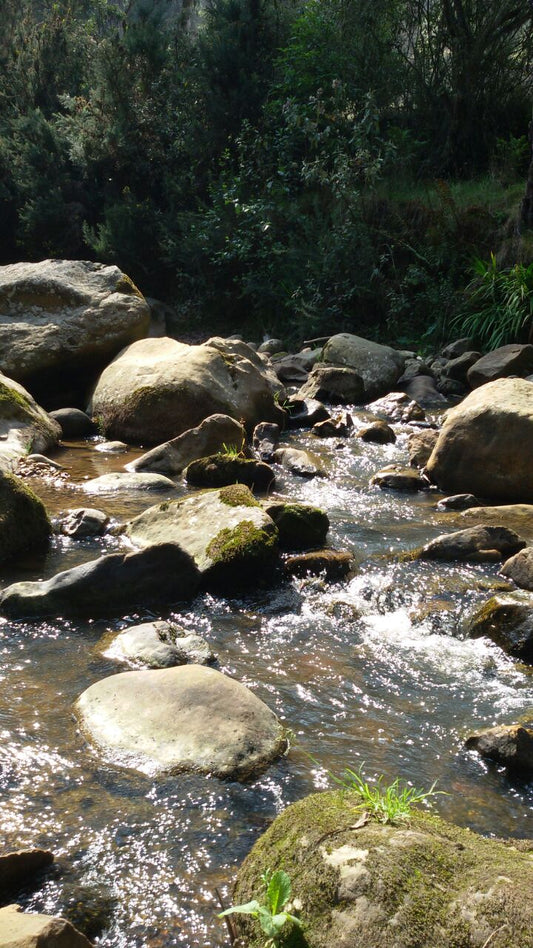 ¿Qué tan pura es el agua que usted bebe?
