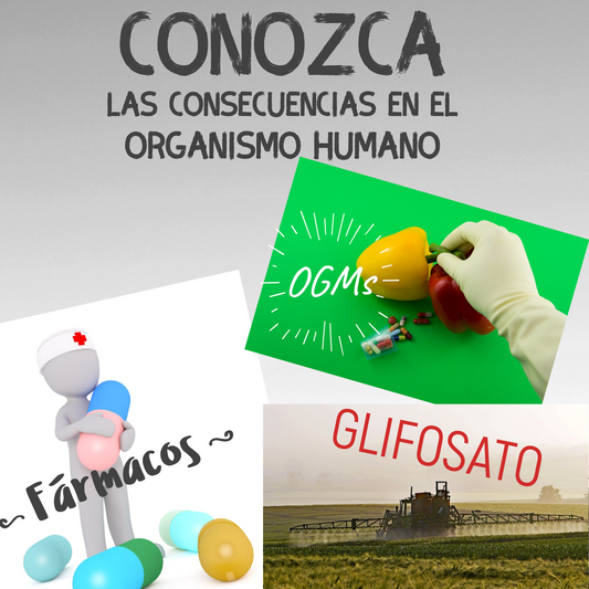 Imparable ¿Qué más necesita para entender que el glifosato, los OGMs y fármacos tienen consecuencias en nuestro organismo?
