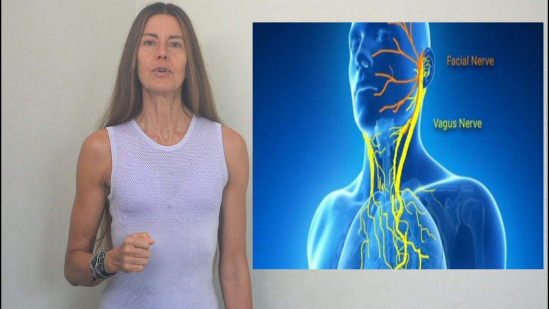 La guía para comprender y activar el sistema de curación y longevidad en su cuerpo