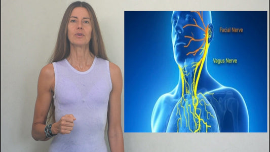 La guía para comprender y activar el sistema de curación y longevidad en su cuerpo