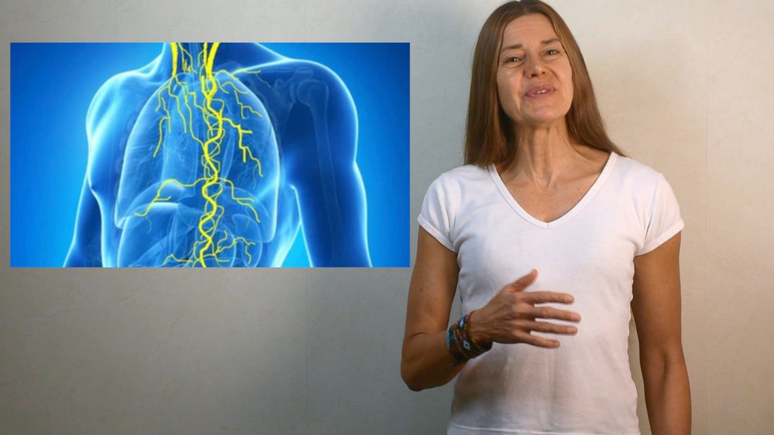 Control del apetito y equilibrio emocional  cuando activa  su nervio vago