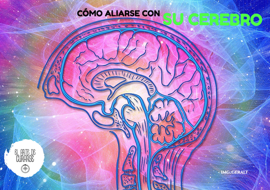 Cerebro