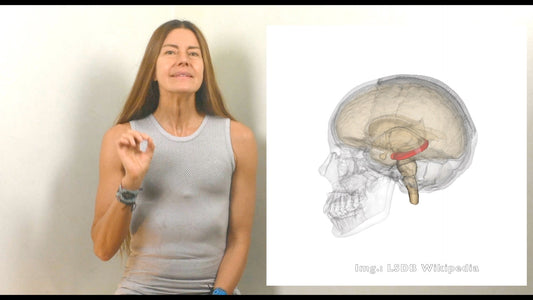 Rejuvenezca su cerebro con estos ejercicios