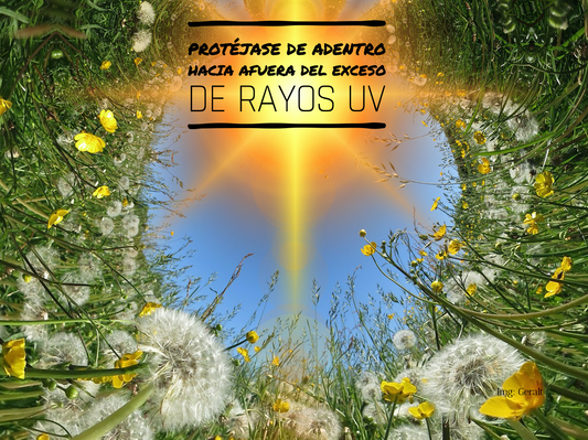 Estrategias y nutrientes para protegerse del exceso de rayos UV