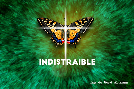 Indistraible :  la habilidad del futuro