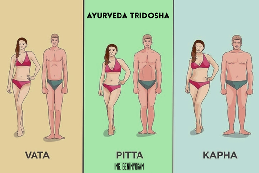 El TriDosha corresponde a los biotipos humanos en Ayurveda.  Conozca su Dosha dominante, las características y los alimentos que más le convienen