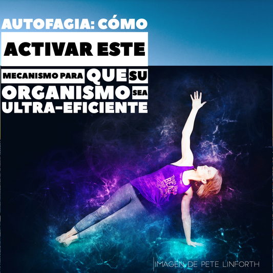 La autofagia convierte nuestros organismos en máquinas eficientes.  Vea qué es y cómo lograrlo