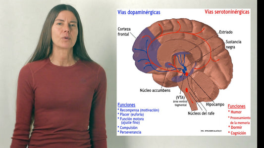 Placer vs. Productividad?