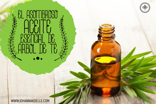 El asombroso aceite de árbol de té, sus beneficios y sus aplicaciones