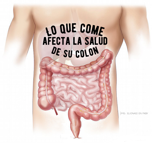 Lo que come afecta la salud de su colon