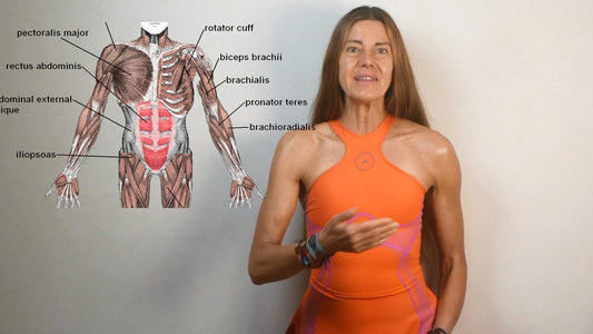 Los motivos irrefutables para iniciar YA su entrenamiento de fuerza