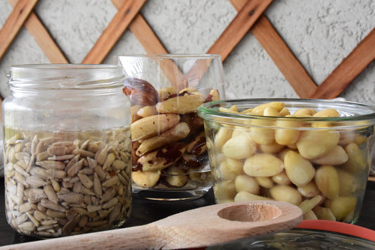 Nueces y semillas despiertas
